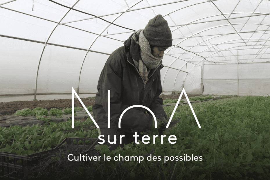 VIDEO. L’agriculture solidaire : un levier pour l’insertion professionnelle et sociale