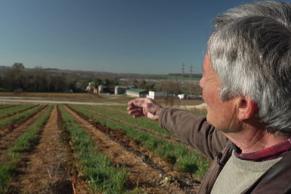 « Ici il y avait un champ de blé » : le désarroi des agriculteurs expropriés après l’arrêt du chantier de l’autoroute A69
