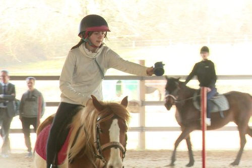 Équitation : une section Pony-Games dans un collège de Dordogne, une première en Aquitaine