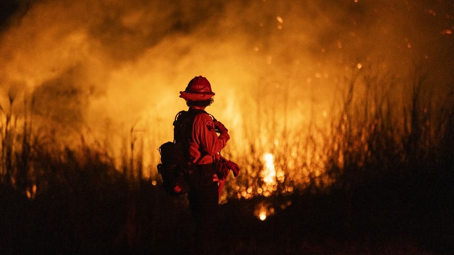 Mauvaise gestion, coupes budgétaires, pillages… On a vérifié six affirmations sur les incendies de Los Angeles