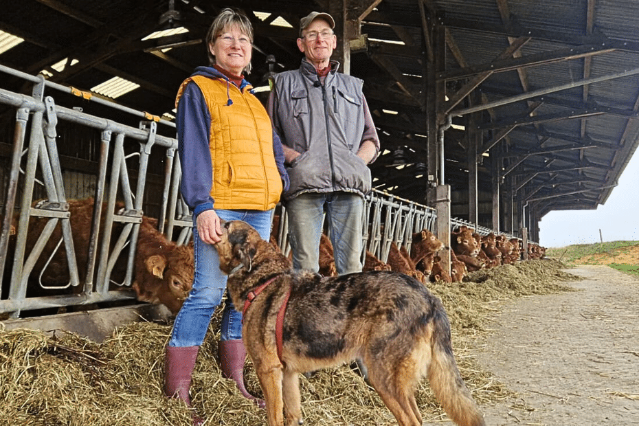 « Ça va changer notre vie ! » Pierre et Martine, éleveurs de bovins, seront en retraite ce premier janvier 2025