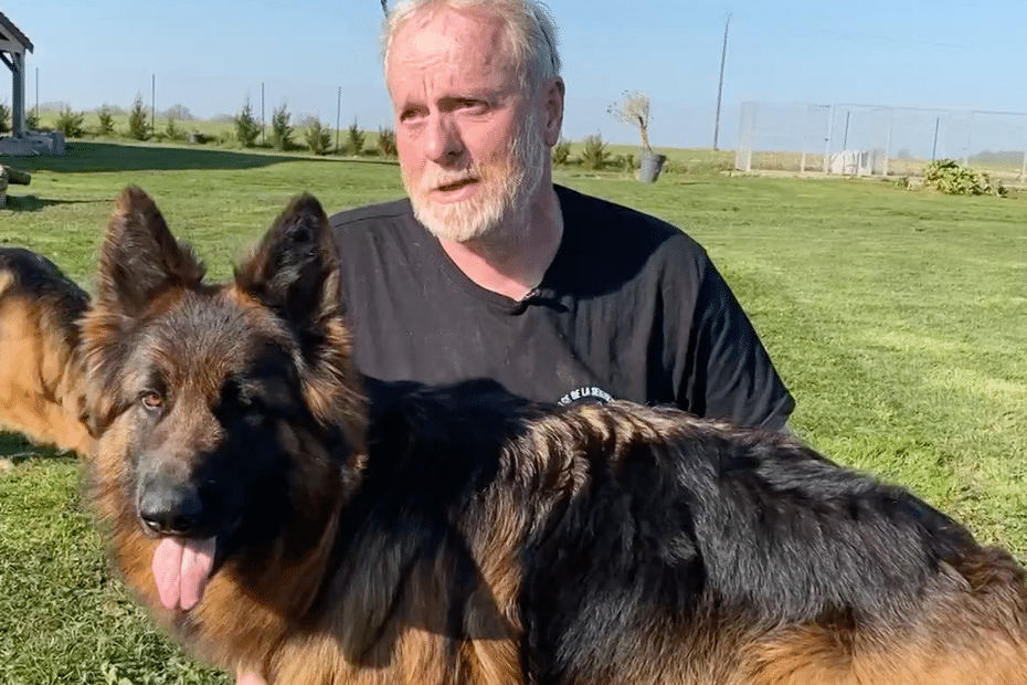 Vol de la chienne Texane : « C’est un couple qui est sorti avec elle par la porte principale du Salon de l’Agriculture »