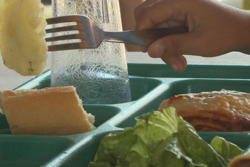 La distribution des repas dans les cantines scolaires de la ville de Fort-de-France perturbée