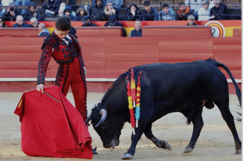 "La mort, c'est quelque chose de spécial pour tout le monde" : Victor, 18 ans, apprenti torero à sa place dans l'arène
