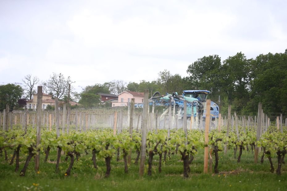 « Certains s’inquiètent de vivre au milieu des vignes » : risques sanitaires, types de produit, cette carte recense les taux de pesticides de chaque commune