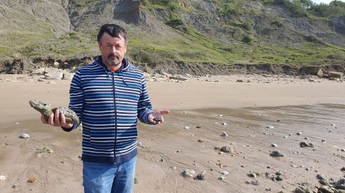 "Aucun paléontologue n'a été consulté" : l'interdiction du ramassage des fossiles sur les plages normandes inquiète les scientifiques