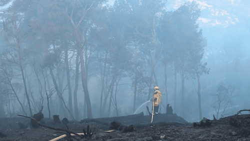 Alpes-Maritimes : feu de forêt à Colomars, un homme en garde à vue