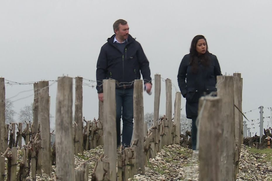 Ils rasent leur maison pour des vignes à 1,8 million d’euros par hectare : l’incroyable histoire de ce couple devenus viticulteurs