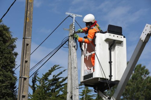 Loire-Atlantique : l'élagage trop cher pour les propriétaires forestiers le long des fibres optiques aériennes