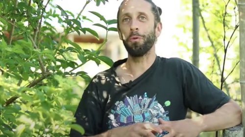 Ce Youtubeur botanique français publie un guide pour inciter à planter des arbres et créer des "jardins-forêt"