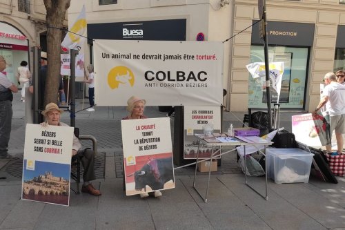 Béziers : des manifestants réunis pour abolir la corrida, une tradition qui ne passe plus en raison de la maltraitance animale