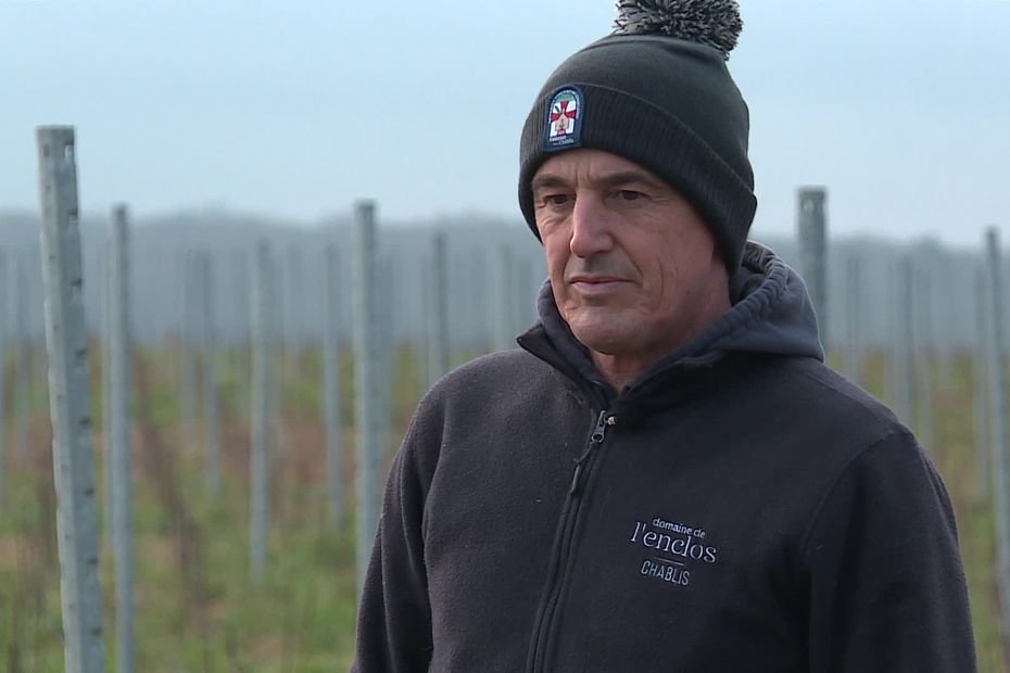 Du vin à Villeneuve-sur-Yonne ? Ce viticulteur de Chablis veut expérimenter « hors des appellations de Bourgogne »