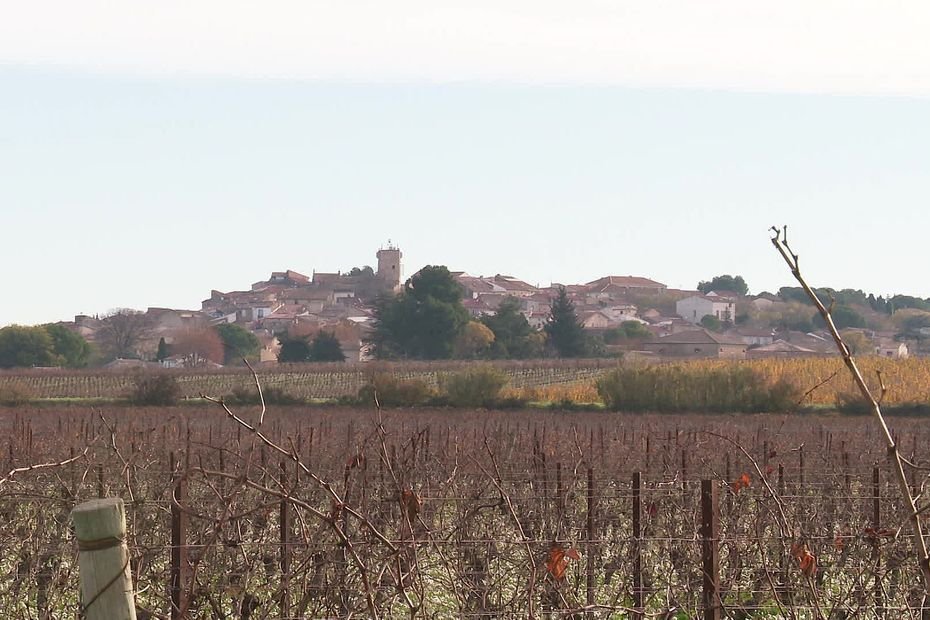 500 000 m³ d’eau pour irriguer des vignes et soulager des agriculteurs, les habitants d’un village vent debout contre ce projet de stockage gigantesque
