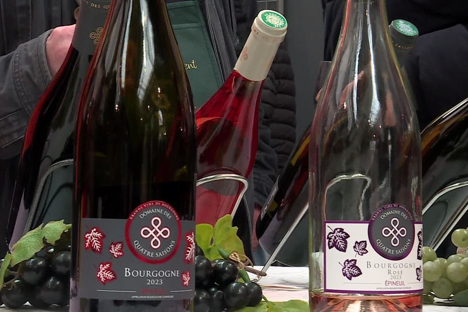 Vente des vins des Hospices : après Beaune et Nuits-Saint-Georges, au tour de… Tonnerre ! « Une vraie culture du vin »