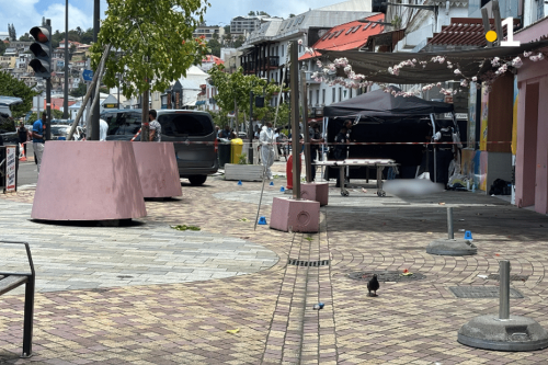 Triple homicide à Fort-de-France : les réactions politiques s'enchaînent
