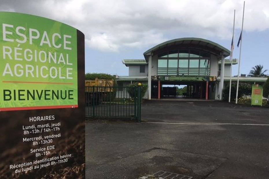 Le tribunal administratif annule les élections de 2025 à la chambre d’agriculture de la Guadeloupe