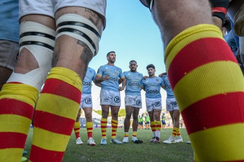 Top 14 : "Qui va braire le plus fort ?", provocation et faute d'orthographe, le derby entre le MHR et l’USAP a débuté sur les réseaux sociaux
