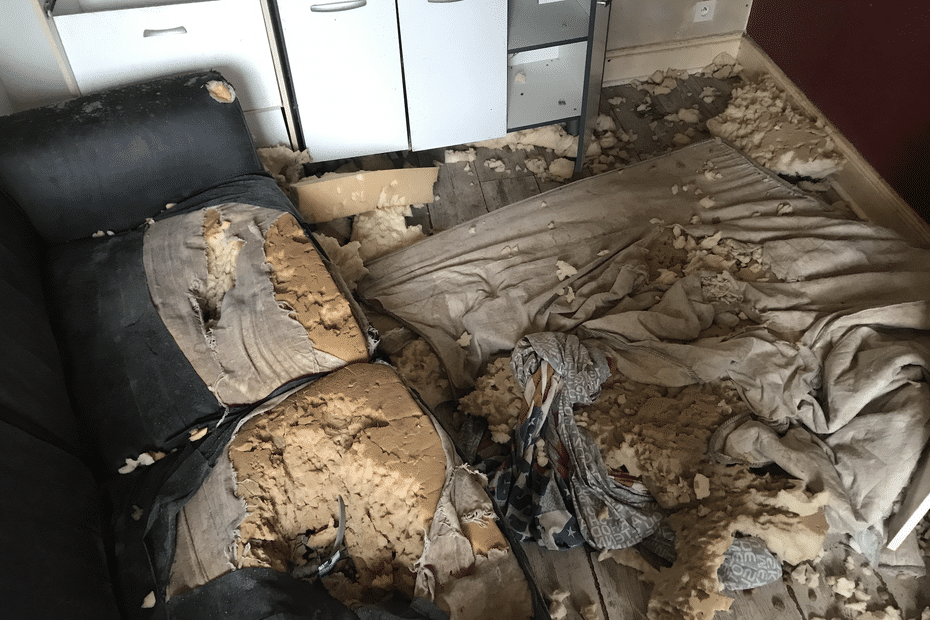 Une maison saccagée par sa locataire, l'espoir d'obtenir réparation s'éloigne pour les propriétaires
