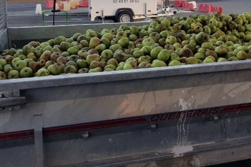 Mayenne : un pressoir à pommes itinérant à Evron pour éviter le gaspillage