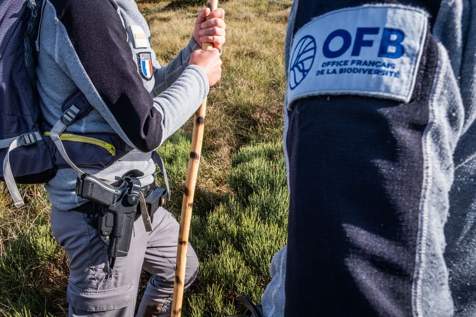 « Comportements un peu intrusifs », privilégier les contrôles uniques : ce qu’a dit la porte-parole du gouvernement sur l’Office français de la biodiversité