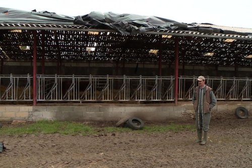 VIDEO. Dordogne : la détresse des agriculteurs cinq mois après les orages de grêle dévastateurs