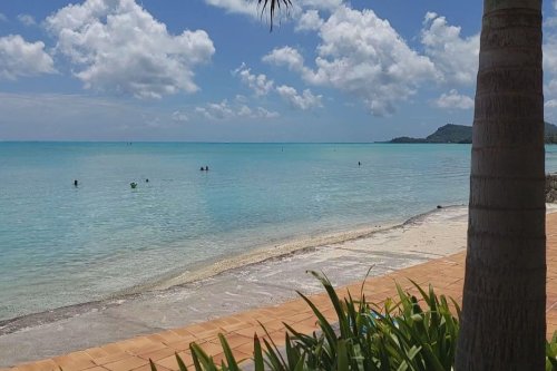 Bora Bora : happée par le moteur d'un catamaran, une touriste allemande est décédée