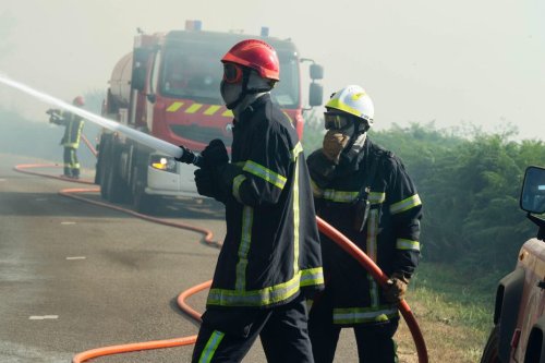 Incendie : 10 hectares détruits par le feu dans le Tarn, l'opération s'annonce de longue durée