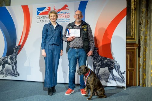 Laïka a sauvé sa famille des flammes d’un incendie : la chienne récompensée du Prix Chien Héros