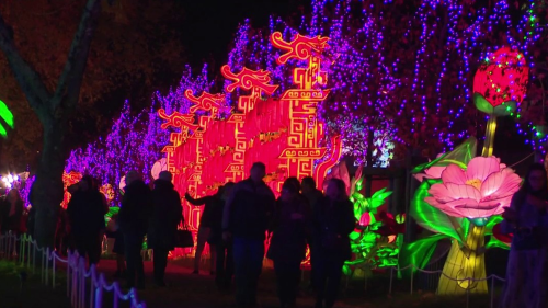 Montauban : le Festival des Lanternes devrait attirer plus de 400 000 visiteurs en deux mois