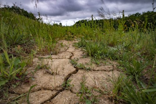 "J'ai déjà abandonné l'arrosage de mes blés et de mes céréales" : dans le Loir-et-Cher, les agriculteurs face aux mesures de restrictions d'eau