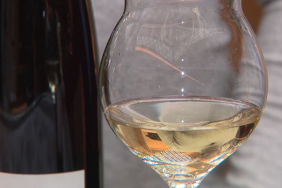 78 vins alsaciens dégustés à l’Exposition universelle d’Osaka, une première pour le vignoble français