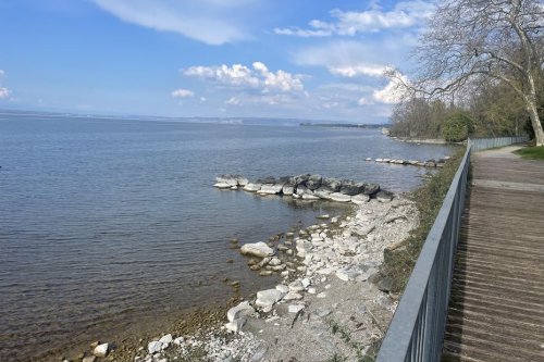 Un garage déversait depuis un an des huiles de vidange dans le Léman, l'agglomération de Thonon-les-Bains porte plainte