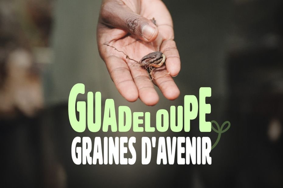 Découvrez comment Natacha et Naomi ont relancé la filière cacao et vanille en Guadeloupe