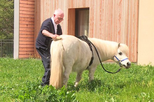 Equithérapie : quand des poneys aident ces résidents d'un EHPAD à aller mieux