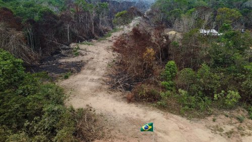 Présidentielle au Brésil : "Il faut absolument freiner cette déforestation" de l'Amazonie, juge un écologue