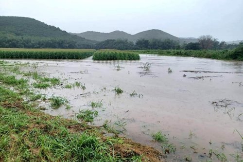 Des agriculteurs en grande difficulté après les fortes pluies