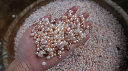 Retour sur l'histoire de la perle naturelle, un marché qui a enrichi la région du golfe Persique bien avant le