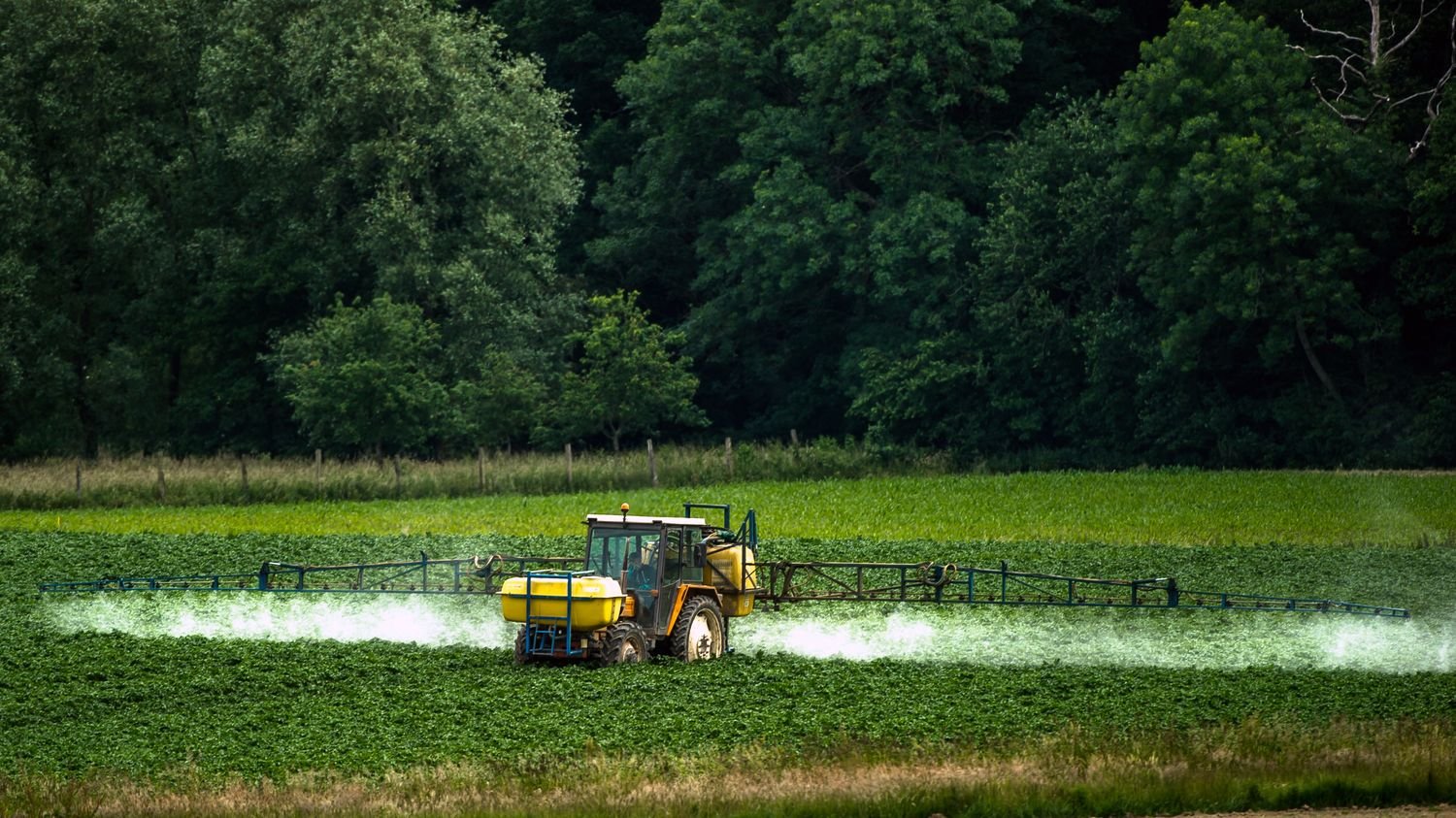 Près de « 75% des agriculteurs sont inquiets pour leur propre santé », note Hélène Lepetit, co-pilote de la Grande consultation des agriculteurs