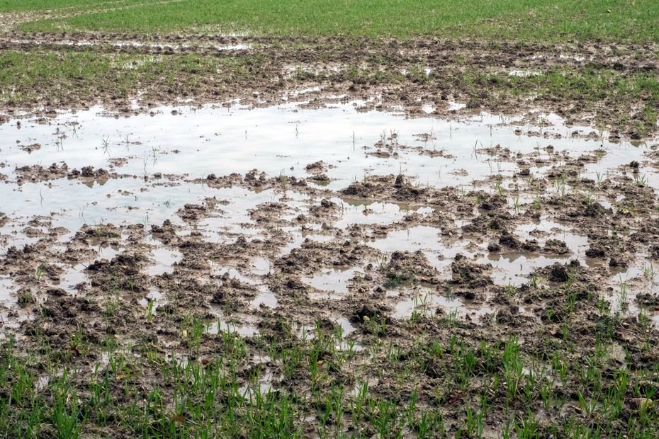 "Retenir l'eau quand il pleut et la restituer pendant la sécheresse", un projet lutte contre les conséquences du réchauffement climatique
