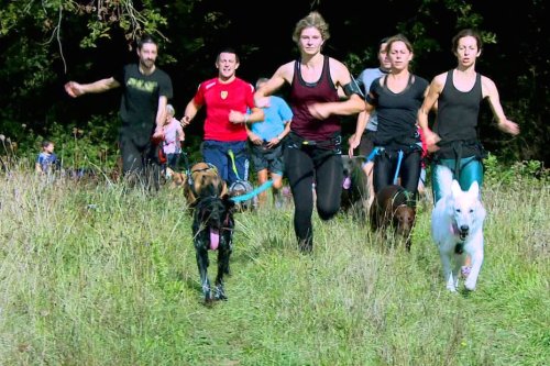 Canicross en Dordogne : le plaisir de courir à six pattes