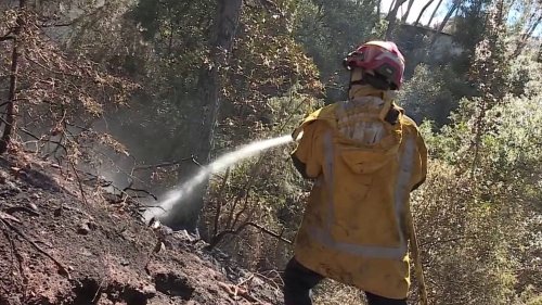 Alpes-Maritimes : un homme interpellé après l'incendie qui a ravagé 10 hectares