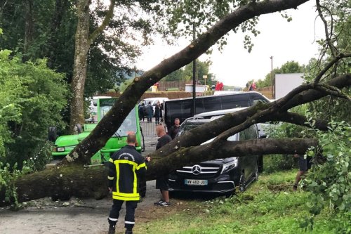 VIDÉOS. Eurockéennes 2022 : soirée annulée, arbres couchés et des dizaines de festivaliers blessés... L'orage s'abat au premier jour du festival de Belfort