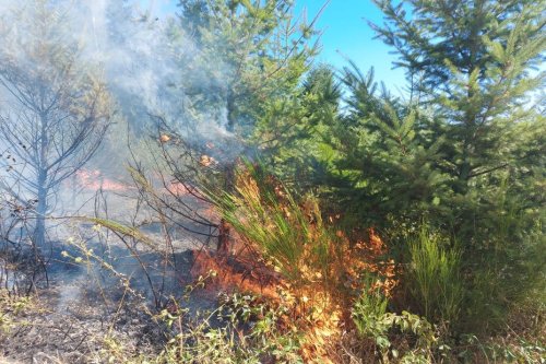 Feux de forêt : plus de 15 hectares partis en fumée près d'Autun, en Saône-et-Loire