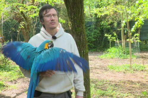 "C’est comme la fin d’une vie" : le parc des Perroquets de la Drôme interdit d'ouvrir au public cet été