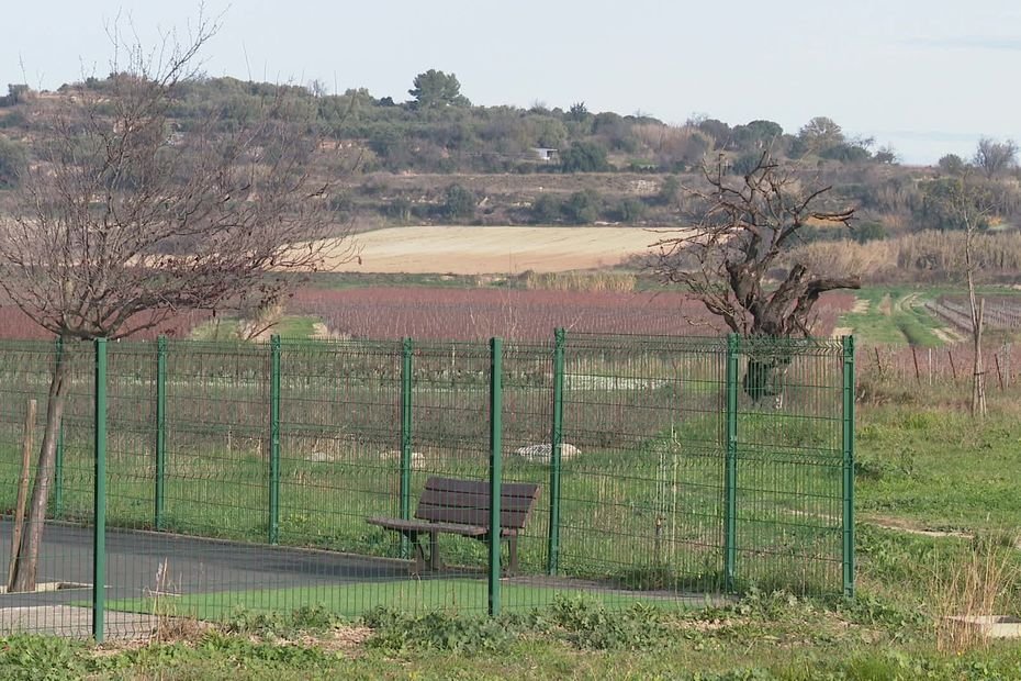 « On ne va pas faire le bonheur des gens malgré eux ! », le département de l’Hérault enterre un projet de retenue d’eau hivernale pour les viticulteurs