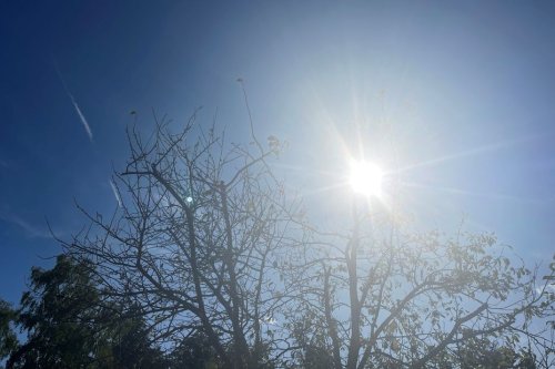 Prévisions météo : l'été revient en Centre-Val de Loire la semaine prochaine