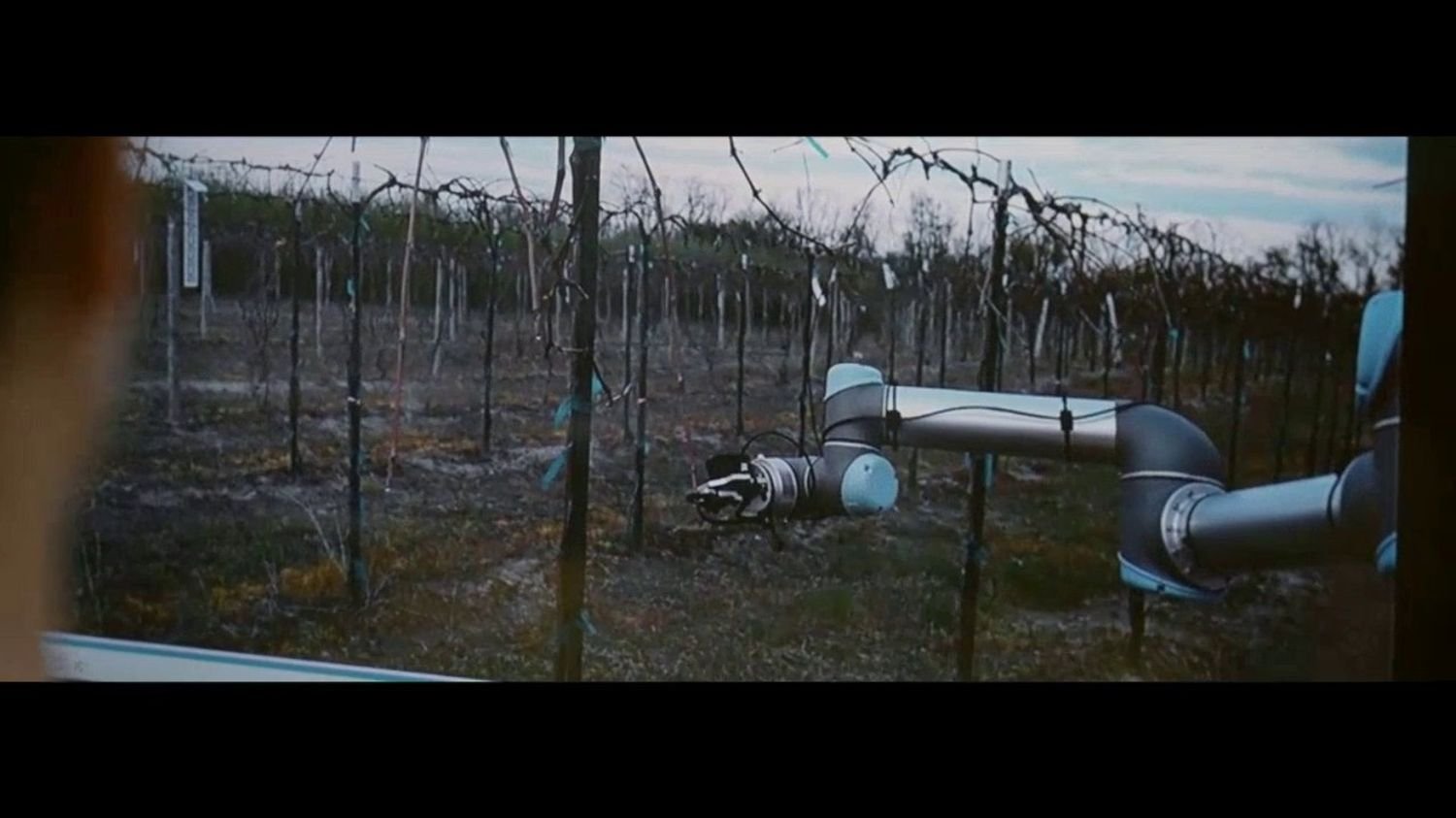: Vidéo « L’intelligence artificielle, c’est pas juste Chat GPT » : quand la technologie se met au service de la viticulture et de la médecine