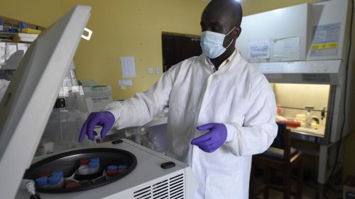 Nigeria : recherches accélérées contre la fièvre de Lassa, qui a fait 20 morts en une semaine