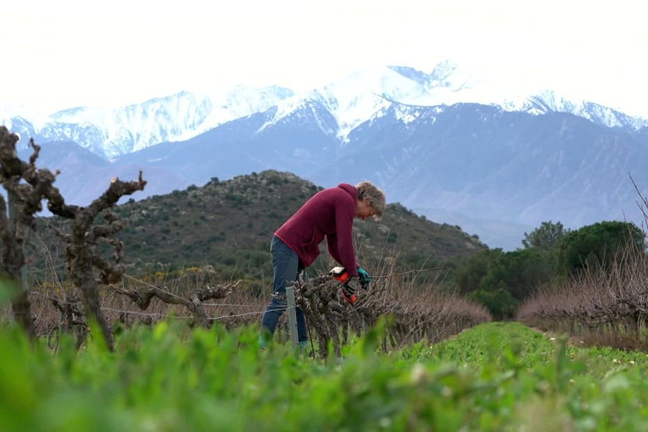 « Ce métier d’agriculteur, c’est une très grande solitude » : des bénévoles et une association viennent en aide aux paysans