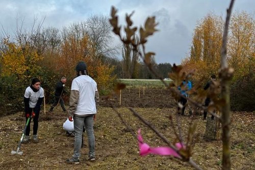 Reims : des jeunes plantent plusieurs centaines d'arbres pour créer une forêt urbaine